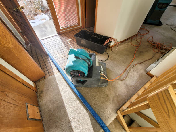 Best Professional water damage repair  in Pearl, MS