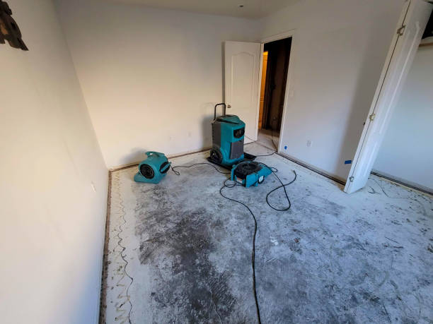 Best Carpet water damage restoration  in Pearl, MS