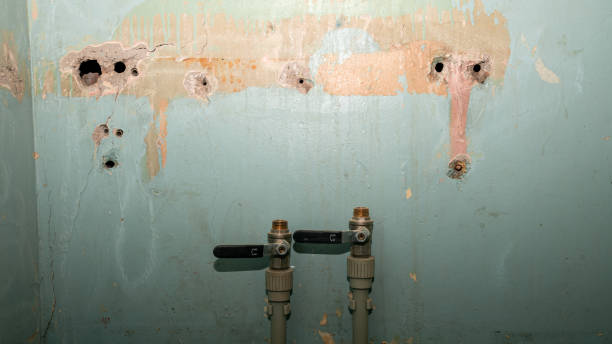 Best Water damage restoration near me  in Pearl, MS