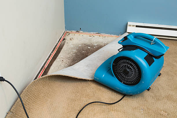 Best Water damage restoration process  in Pearl, MS